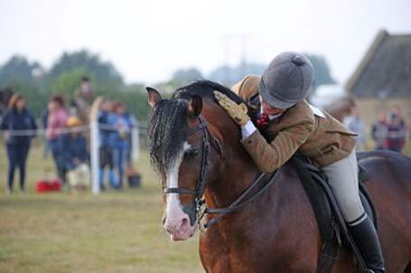 New Competitions, Thrilling Performances and Supreme Equestrian Excellence!